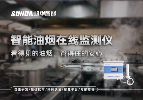 智能油烟在线监测仪：看得见的油烟，管得住的安心